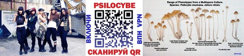 Псилоцибиновые грибы мухоморы  сколько стоит  блэк спрут tor  Лесной 