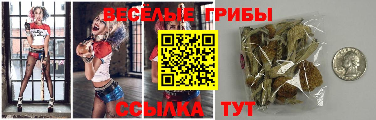 НБОМе  Cocaine  МЕФ кристаллы  Экстази  Метадон  Лесной  Вход с VPN  Бошки Шишки  Канабис 